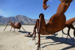 PICTURES/Borrego Springs Sculptures - Bugs, Cats & Birds/t_P1000351.JPG